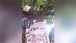 Mumbai Filmmaker's 'Monkey-Style Protest' Against Animal Welfare Board