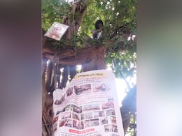Mumbai Filmmaker's 'Monkey-Style Protest' Against Animal Welfare Board