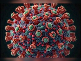 राजस्थान में बढ़ा चांदीपुरा वायरस का खतरा, अब डूंगरपुर में सामने आया नया केस