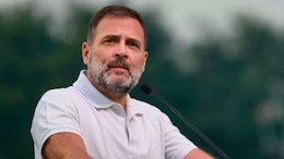 "Champion Gives Answer From Field": Rahul Gandhi Wishes Vinesh Phogat Ahead Of Final