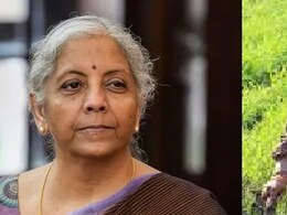 अन्नदाताओं को वित्तमंत्री का तोहफा : रिसर्च और एडवांस खेती के लिए ₹1.52 लाख करोड़ आवंटित अन्नदाताओं को वित्तमंत्री का तोहफा : रिसर्च और एडवांस खेती के लिए ₹1.52 लाख करोड़ आवंटित
