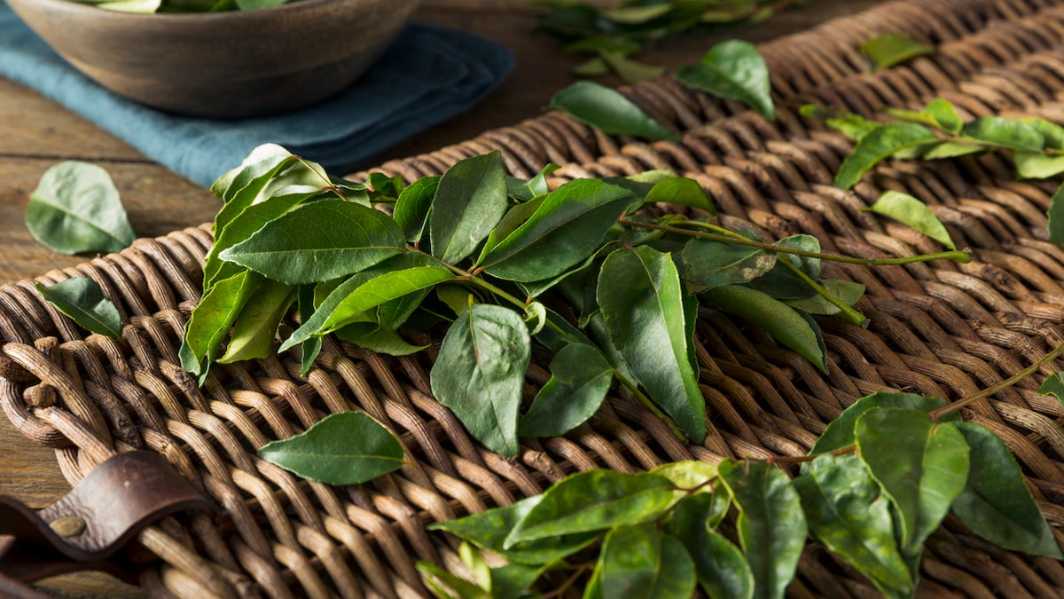 5 Clever Ways To Use Curry Leaves For Kitchen Cleaning