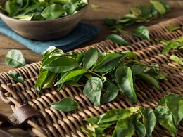 5 Clever Ways To Use Curry Leaves For Kitchen Cleaning 5 Clever Ways To Use Curry Leaves For Kitchen Cleaning