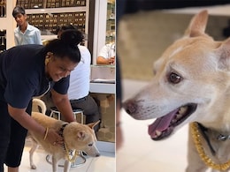 महिला ने पालतू कुत्ते के गले में पहनाई 2.5 लाख की गोल्ड चेन, देख लोग बोले- इसे दिखावा कहें या प्यार महिला ने पालतू कुत्ते के गले में पहनाई 2.5 लाख की गोल्ड चेन, देख लोग बोले- इसे दिखावा कहें या प्यार