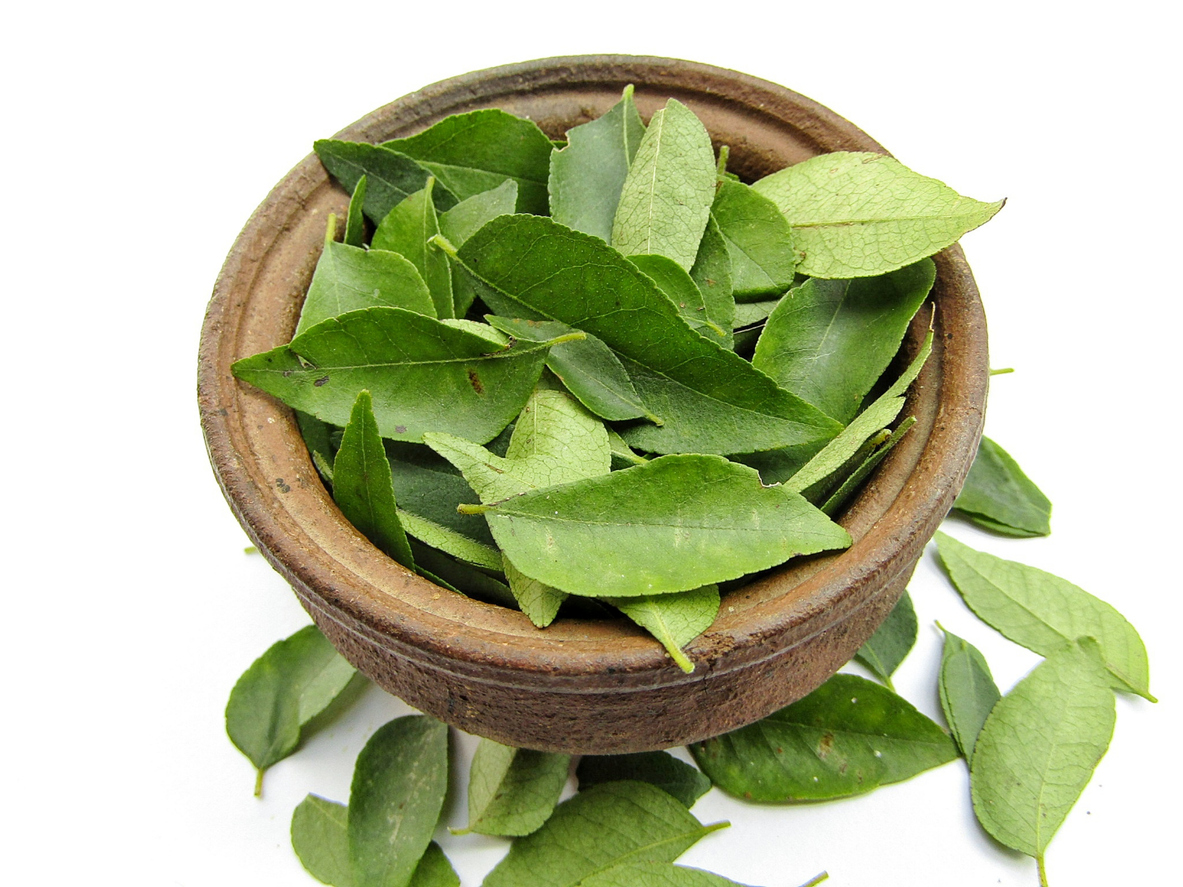 Incorporating curry leaves into your diet is an easy way to boost overall health