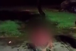 TMC नेता तजेमुल उर्फ़ JCB का एक और वीडियो, वीडियो में एक महिला-पुरुष को रस्सी से बांध कर पिटाई