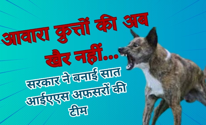 Terror Of Stray Dogs: भोपाल में आवारा कुत्तों का आतंक, हर दिन 55 मरीज पहुंच रहे अस्पताल, अब सरकार ने उठाया बड़ा कदम