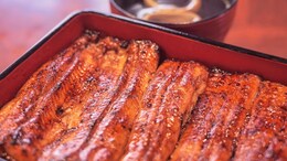 1 Dead, Over 140 Fall Sick After Eating Grilled Eel In Japan