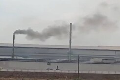 एमपी में ग्रीन कैम्पेन में अदाणी समूह का लाखों पौधों का योगदान