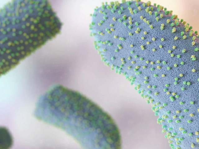 16 Dead Due To Chandipura Virus, 50 Cases Reported: Gujarat Minister