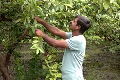 MP के Farmers के सामने नई मुसीबत, अधिकारियों पर लगा रहे रिश्वत लेने के आरोप, बनवा रहे Affidavit