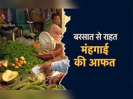 MP News: बरसात ने लगाई सब्जियों के दाम में आग, MP और छत्तीसगढ़ दोनों प्रदेश में दिख रहा है बड़ा असर MP News: बरसात ने लगाई सब्जियों के दाम में आग, MP और छत्तीसगढ़ दोनों प्रदेश में दिख रहा है बड़ा असर