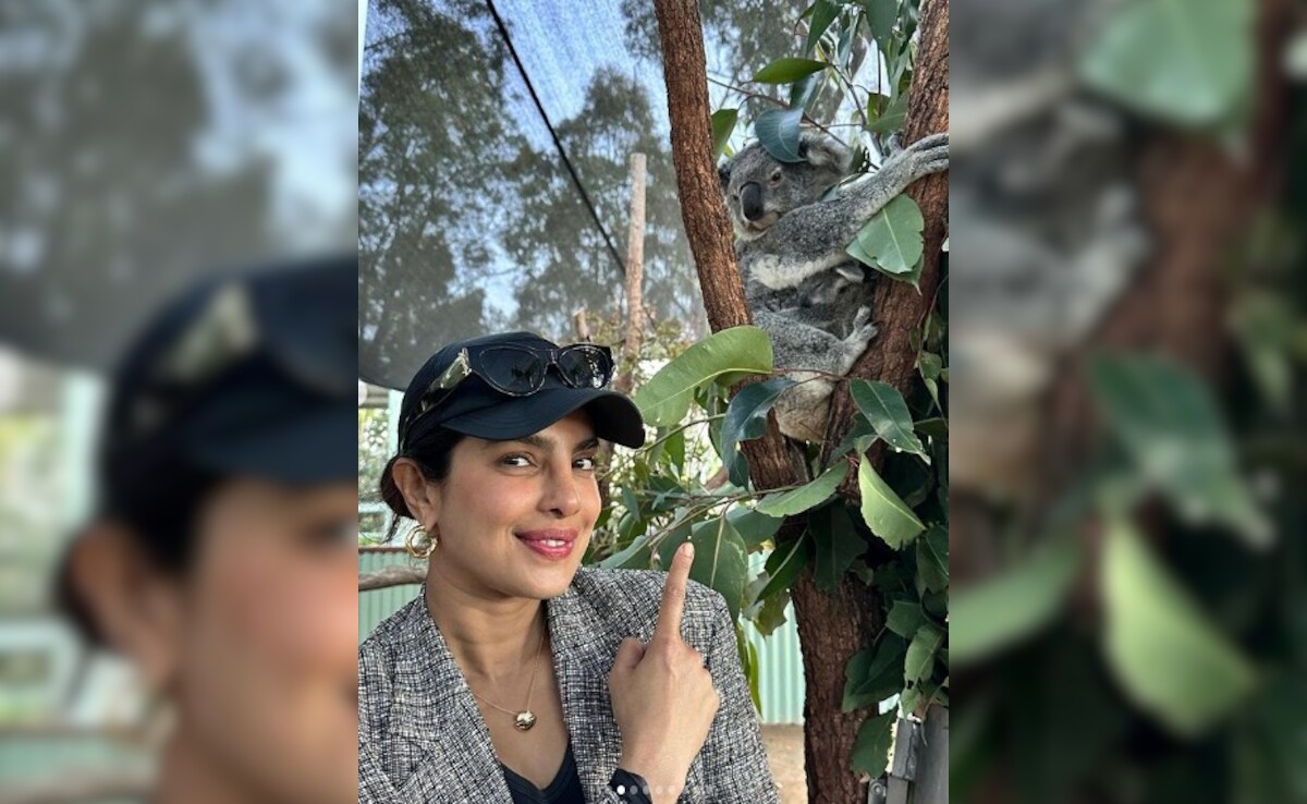Priyanka Chopra's Aww-Dorable Reaction On Learning A 8-Month-Old Koala In Australia Is Named After Her