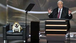 'Babydog', The English Bulldog, Steals The Spotlight At Republican National Convention