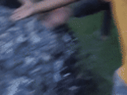 Rajasthan: जलती चिता के पास मुर्गे की बलि, नींबू काटकर कर रहे थे तांत्रिक क्रिया; तभी...