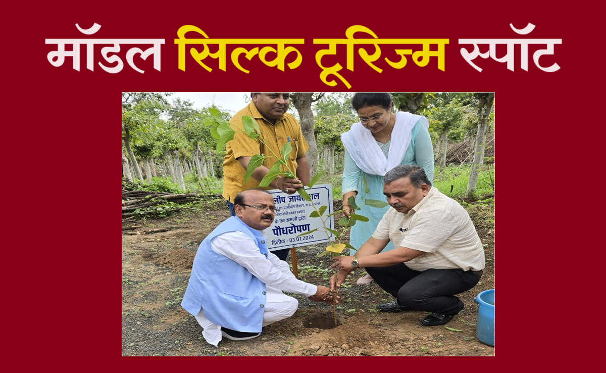 खुशखबरी... सिल्क टूरिज्म के रूप में विकसित होगा मढ़ई रेशम उत्पादन केन्द्र, खास है ये डेस्टिनेशन