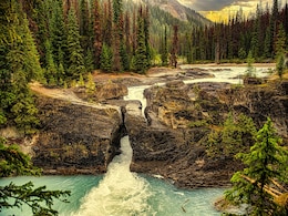 Body Of Indian Man, Who Drowned In US National Park, Recovered From Creek Body Of Indian Man, Who Drowned In US National Park, Recovered From Creek