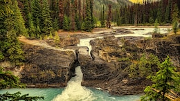 Indian, Who Drowned In US National Park, Texted Mother Hours Before Incident