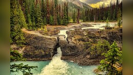 26-Year-Old Indian Working In US Drowns In Glacier National Park