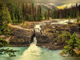 26-Year-Old Indian Working In US Drowns In Glacier National Park