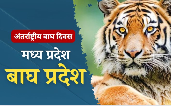 International Tiger Day Special: भारत में हैं दुनिया के 75 फीसदी बाघ, MP में 526 से बढ़कर 785 हुई बाघों की संख्या 