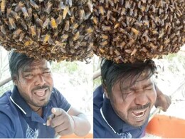 मधुमक्खी के छत्ते में सिर और हाथ मारकर शख्स ने गाए दर्द भरे नगमे, यूजर्स ने पूछा- भाई दिल टूटने का या डंक का गम है