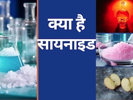यह सायनाइड है क्या? रंग-स्वाद कैसा? दुनिया के सबसे जानलेवा जहर के बारे में जानिए यह सायनाइड है क्या? रंग-स्वाद कैसा? दुनिया के सबसे जानलेवा जहर के बारे में जानिए