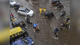Rain Update : पुन्हा पाऊस सैराट; आज सकाळपासून मुंबई, कोकणात मुसळधार पावसाला सुरुवात