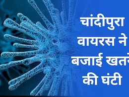 गुजरात में संदिग्ध चांदीपुरा वायरस ने कहर, अबतक 15 मरीजो की मौत, जानें लक्षण... गुजरात में संदिग्ध चांदीपुरा वायरस ने कहर, अबतक 15 मरीजो की मौत, जानें लक्षण...