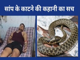 फतेहपुर के विकास दुबे को स्नैक फोबिया, सांप ने 7 बार नहीं सिर्फ 1 बार ही काटा; जांच में पता चला फतेहपुर के विकास दुबे को स्नैक फोबिया, सांप ने 7 बार नहीं सिर्फ 1 बार ही काटा; जांच में पता चला