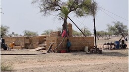 Jaisalmer Water Crisis: 'नोड' बेरी को बनाया जा रहा 'मॉडल' बेरी, जैसलमेर में शुरू हुई अनूठी पहल
