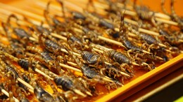 Silkworms, Locusts And More: Singapore Approves These 16 Insects As Food