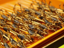 Silkworms, Locusts And More: Singapore Approves These 16 Insects As Food Silkworms, Locusts And More: Singapore Approves These 16 Insects As Food