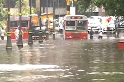 IMD Alert: West Coast On High Alert, Heavy Rain Expected In Multiple States IMD Alert: West Coast On High Alert, Heavy Rain Expected In Multiple States