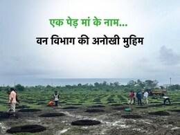एक पेड़ मां के नाम...  भोपाल में आज लगाए जाएंगे 12 लाख पौधे,  CM जंबूरी मैदान में करेंगे पौधारोपण