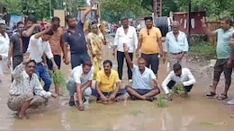 राजस्थान की सड़क पर जानलेवा गड्ढ़े, भाजपा पार्षदों ने रोड पर ही रोपा धान, कहा- फसल बेच बनवाएंगे सड़क