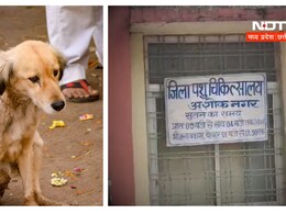 क्या बेजुबानों को नहीं होता दर्द ? वेटरनरी डॉक्टर ने कुत्ते को देख बनाया ये बहाना क्या बेजुबानों को नहीं होता दर्द ? वेटरनरी डॉक्टर ने कुत्ते को देख बनाया ये बहाना
