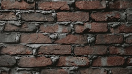 Pakistan Woman, Teen Daughter Bricked Into Wall Over Property Dispute