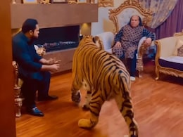 पाकिस्तानी सिंगर का नया वीडियो वायरल, बाघ को देख डर से कांप उठे चाहत फतेह अली खान, लोगों ने कहा- बदो-बदी सुना दो भाग जाएगा पाकिस्तानी सिंगर का नया वीडियो वायरल, बाघ को देख डर से कांप उठे चाहत फतेह अली खान, लोगों ने कहा- बदो-बदी सुना दो भाग जाएगा