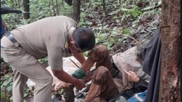Woman Found Chained In Maharashtra Jungle With US Passport Copy In Pocket