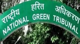 Bhopal: चंदनपुरा-मेंडोरा बाघ भ्रमण क्षेत्र में इकोलॉजी सिस्टम को लेकर NGT सख़्त, 5 सदस्यीय एक्सपर्ट कमेटी गठित