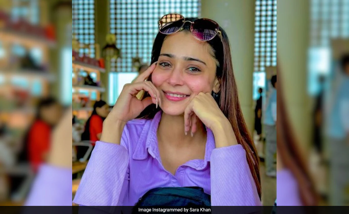 Sara Khan's Honest Confession: "Phone Gallery And Mirror In Washroom Have Seen Crazy Me"