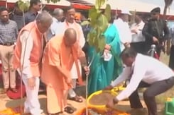 CM Yogi ने की पौधारोपण अभियान की शुरुआत, UP में लगाए जा रहे वृक्ष CM Yogi ने की पौधारोपण अभियान की शुरुआत, UP में लगाए जा रहे वृक्ष