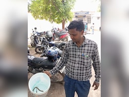 Snake Bites Bihar Woman, Husband Takes Her And Reptile To Hospital Snake Bites Bihar Woman, Husband Takes Her And Reptile To Hospital