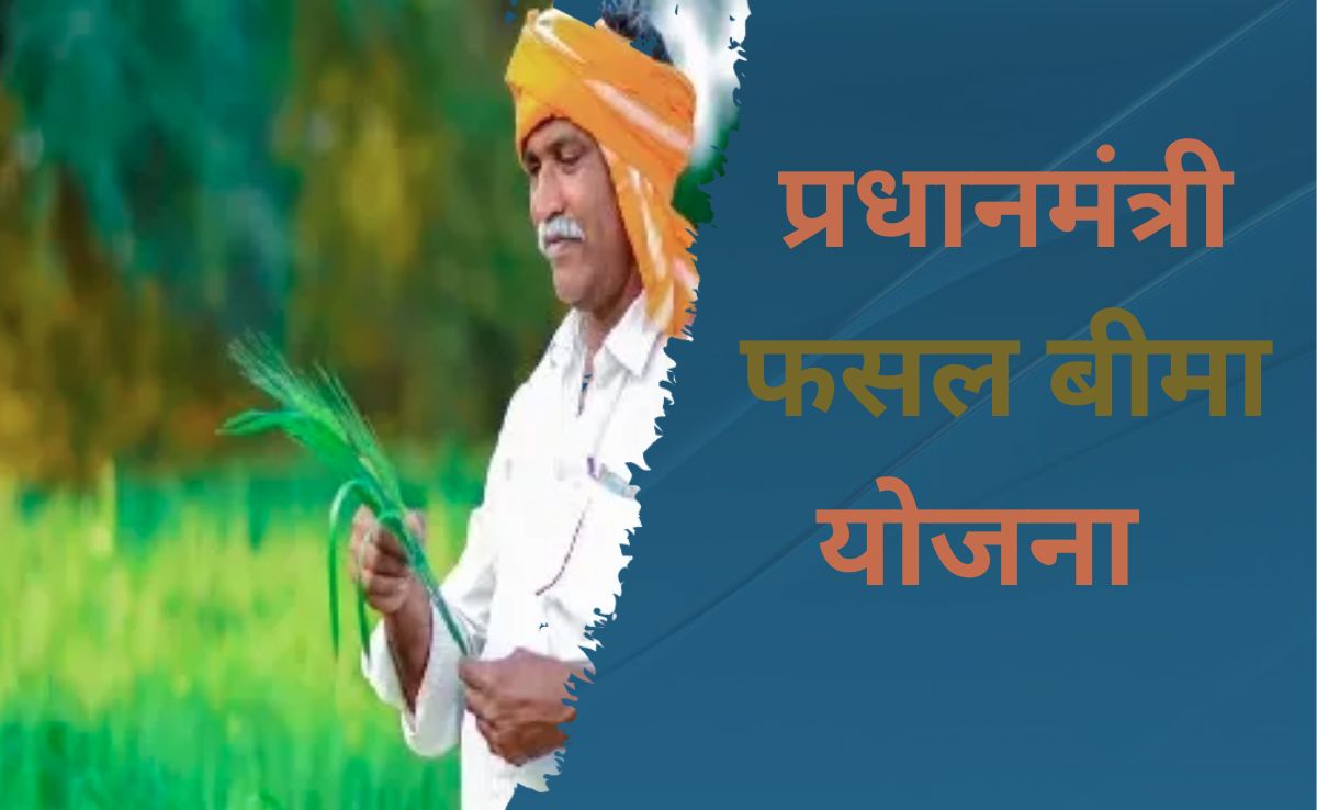 छत्तीसगढ़ के किसानों के लिए बड़ी खबर...   इस तारीख तक करा सकते हैं फसलों का बीमा 