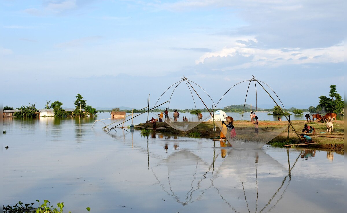 Latest and Breaking News on NDTV