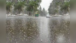 Rajasthan Weather: राजस्थान में झमाझम बारिश, 10 जिलों में Yellow Alert; IMD की ताजा भविष्यवाणी