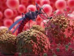 Rajasthan: गुजरात के बाद अब राजस्थान में पैर पसारने लगा चांदीपुरा वायरस, 2 बच्चों की हुई मौत