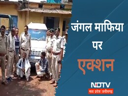 MP News: जंगल माफियाओं पर शिकंजा, पुलिस-वन विभाग की फोर्स ने पीछा करके आरोपियों को ऐसे पकड़ा MP News: जंगल माफियाओं पर शिकंजा, पुलिस-वन विभाग की फोर्स ने पीछा करके आरोपियों को ऐसे पकड़ा