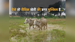 CM साहब! जैविक खेती की 'जान' निकाल दी अधिकारियों ने, अनूपपुर में हुआ करोड़ों का घोटाला